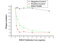 Sino Biological Human respiratory syncytial virus (RSV) Fusion glycoprotein