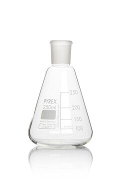 Pyrex Borosilicate Glass Erlenmeyer Flask with Quickfit Ground Glass Socket 250 mL | Buy Online | Pyrex | Fisher Scientific