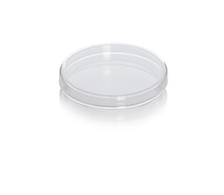 Pyrex&trade;Labware Petrischale aus Borosilikatglas
