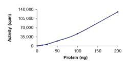 Sino Biological&nbsp;Recombinant Human SGK1/SGK Protein (GST Tag), Active