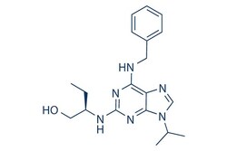 Selleck Chemical LLC Roscovitine (Seliciclib) 10mg 186692-46-6 CYC202,