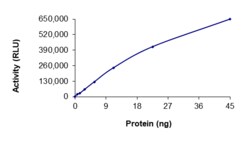 Sino Biological&nbsp;Recombinant Human SIK3 Protein (GST Tag), Active