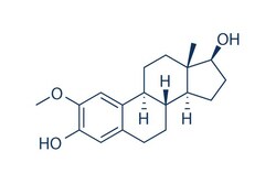 Selleck Chemical LLC&nbsp;2-Methoxyestradiol (2-MeOE2) 10mg 362-07-2 NSC 659853