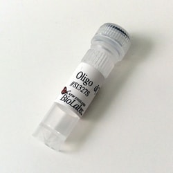 New England Biolabs, Inc. Oligo d(T)23VN – 1 A260 units, Quantity: Each