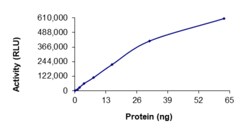 Sino Biological&nbsp;Recombinant Human SIK1 Protein (GST Tag), Active