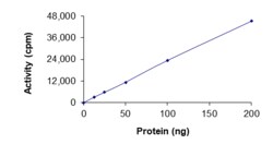 Sino Biological&nbsp;Recombinant Human SNRK Protein (Full Length, GST Tag), Active
