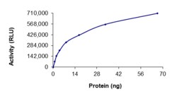 Sino Biological&nbsp;Recombinant Human Src Protein (Full Length, GST Tag), Active