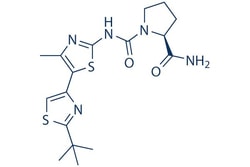 Selleck Chemical LLC A66 5mg 1166227-08-2, Quantity: Each of 1