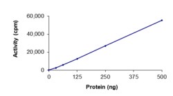 Sino Biological&nbsp;Recombinant Human LOK Protein (GST Tag), Active