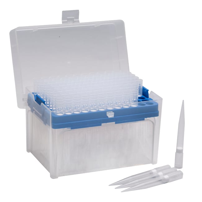 Microtips Q Tips Eisco Racked Filtered Micropipette Tips 200 to 1000 μL | Buy Online ...