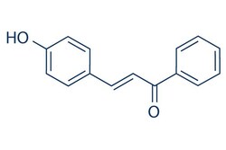 Selleck Chemical LLC 4-Hydroxychalcone 25mg 20426-12-4 P-Cinnamoylphenol,