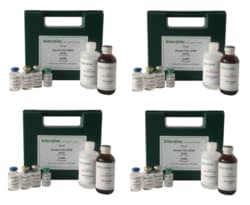 ILEX LIFE SCIENCES LLC Biocolor Sircol Soluble Collagen Assay, Large Economy