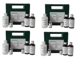 ILEX LIFE SCIENCES LLC Biocolor Sircol Insoluble Collagen Assay, Large