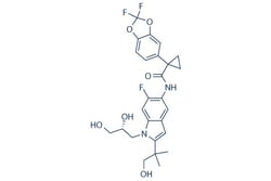 Selleck Chemical LLC Tezacaftor(VX-661) 5mg 1152311-62-0, Quantity: Each