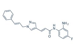 Selleck Chemical LLC RGFP966 10mg 1396841-57-8, Quantity: Each of 1
