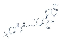 Selleck Chemical LLC EPZ004777 5mg 1338466-77-5, Quantity: Each of 1
