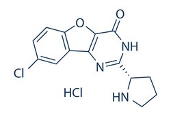 Selleck Chemical LLC XL413 (BMS-863233) 5mg 1169562-71-3, Quantity: Each