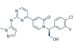 Selleck Chemical LLC Ravoxertinib (GDC-0994) 5mg 1453848-26-4, Quantity: