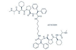 Selleck Chemical LLC BV-6 5mg 1001600-56-1(freebase), Quantity: Each of