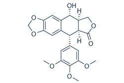 Selleck Chemical LLC Picropodophyllin (PPP) 25mg 477-47-4 AXL1717, Quantity: