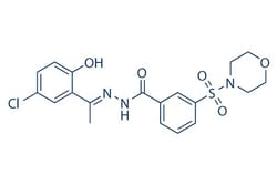 Selleck Chemical LLC SP2509 5mg 1423715-09-6 HCI-2509, Quantity: Each of