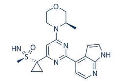 Selleck Chemical LLC Ceralasertib (AZD6738) 5mg 1352226-88-0, Quantity: