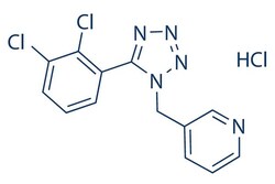 Selleck Chemical LLC A-438079 HCl 100mg 899431-18-6