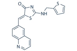 Selleck Chemical LLC Ro-3306 10mg 872573-93-8, Quantity: Each of 1