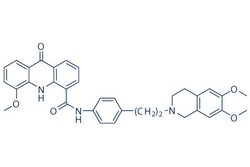 Selleck Chemical LLC Elacridar (GF120918) 10mg 143664-11-3 GW120918, Quantity: