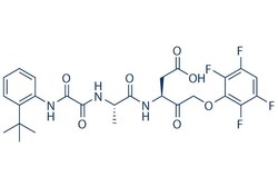 Selleck Chemical LLC Emricasan 25mg 254750-02-2 IDN-6556, PF 03491390,