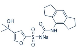 Selleck Chemical LLC MCC950 Sodium (CP-456773 Sodium) 200mg 256373-96-3