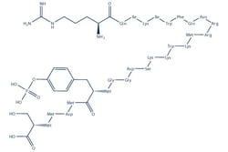 Selleck Chemical LLC 740 Y-P (PDGFR 740Y-P) 1mg 1236188-16-1, Quantity: