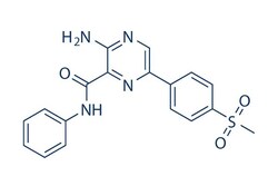 Selleck Chemical LLC VE-821 10mg 1232410-49-9, Quantity: Each of 1