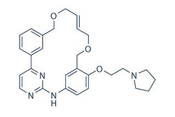 Selleck Chemical LLC Pacritinib (SB1518) 5mg 937272-79-2, Quantity: Each