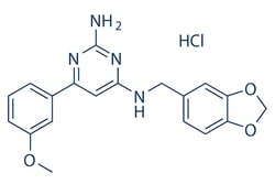 Selleck Chemical LLC Wnt agonist 1 10mg 2095432-75-8 BML-284 HCL, BML-284