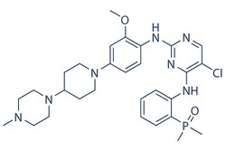 Selleck Chemical LLC Brigatinib (AP26113) 5mg 1197953-54-0, Quantity: Each