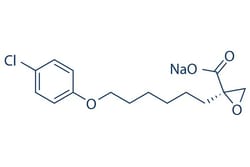 Selleck Chemical LLC Etomoxir sodium salt 25mg 828934-41-4, Quantity: Each