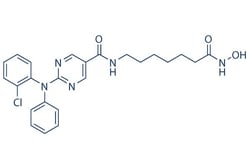 Selleck Chemical LLC Citarinostat (ACY-241) 5mg 1316215-12-9 HDAC-IN-2,