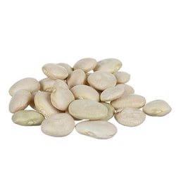 American Seed Co. Inc&nbsp;Lima Beans, PK