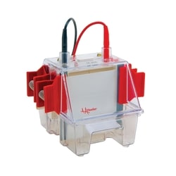Hoefer, Inc Hoefer SE260 Mighty Small II Deluxe Mini Vertical Protein Electrophoresis