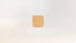 Sol-Millennium Medical&nbsp;Sol-Care&trade; Silicone Foam Dressing, Border