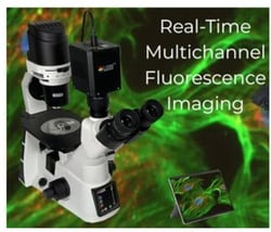 Laxco&nbsp;SLi3P Multichannel Inverted Fluorescence Microscope