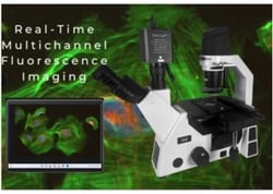 Laxco&nbsp;SLi6P Multichannel Inverted Fluorescence Microscope