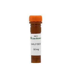 CUBE BIOTECH Nanodisc Copolymer SMALP BZ25