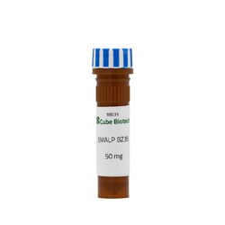 CUBE BIOTECH Nanodisc Copolymer SMALP BZ35