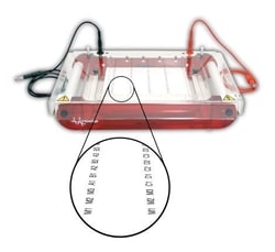 Hoefer, Inc Hoefer™ SUBHT High Throughput Submarine Gel Electrophoresis Unit
