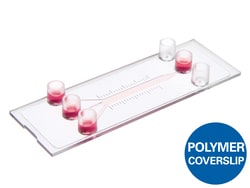 Ibidi -Slide III 3in1 ibiTreat &mu;-Slide | Buy Online | Ibidi | Fisher Scientific