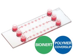 Ibidi -Slide Spheroid Perfusion Bioinert &mu;-Slide | Buy Online | Ibidi | Fisher Scientific