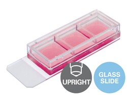 ibidi 3 Well Chamber, Removable 15 | Buy Online | ibidi | Fisher Scientific