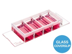 Ibidi -Slide 4 Well Glass Bottom &mu;-Slide | Buy Online | Ibidi | Fisher Scientific